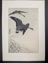Japanese Woodblock Print Two White-fronted Geese Flying in Snow by Ohara Koson