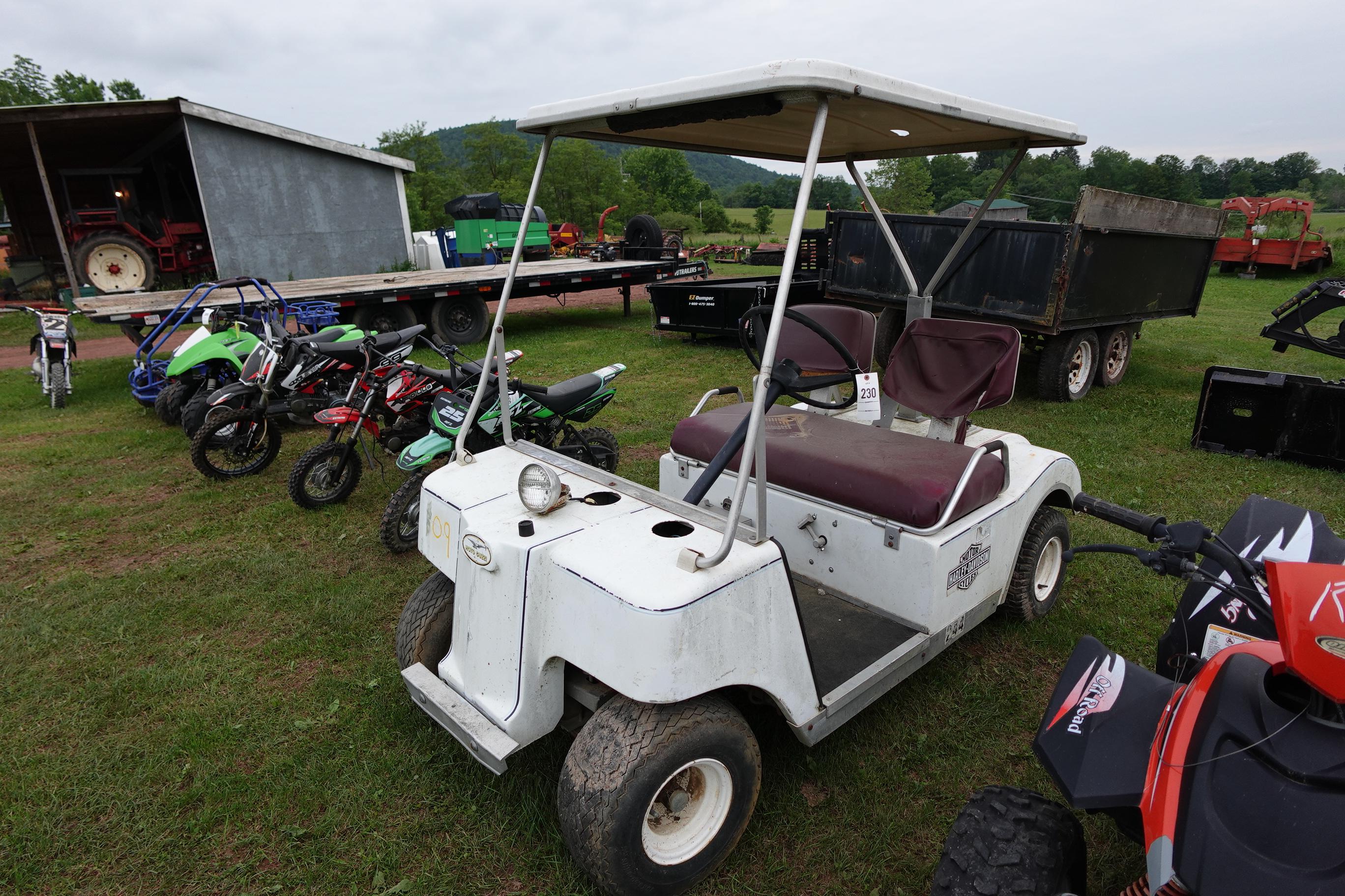 Motoguzzi electric gold cart