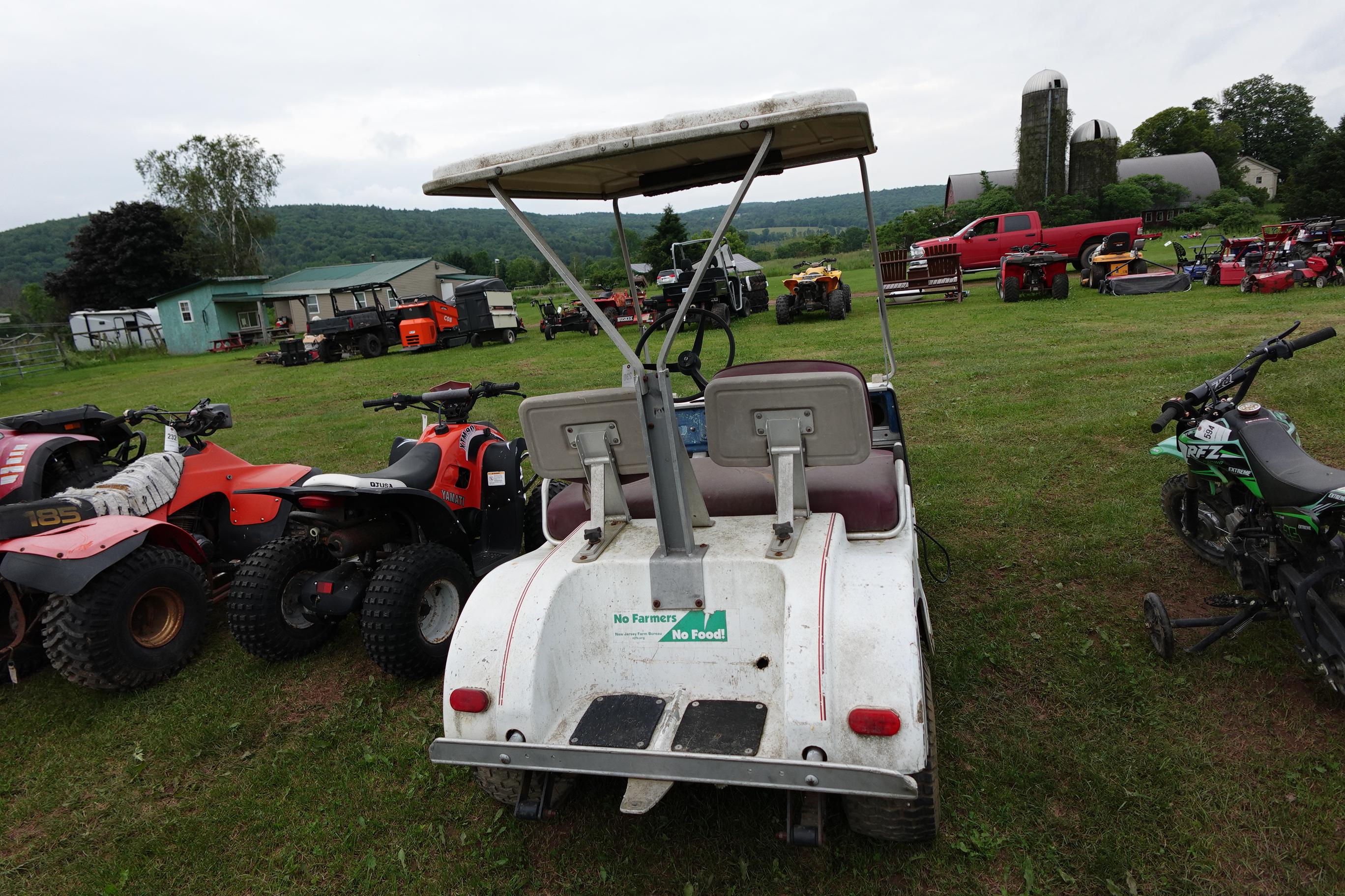 Motoguzzi electric gold cart