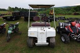 Motoguzzi electric gold cart