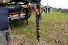 NEW - 5/16 double chain slings.  7ft grad 80