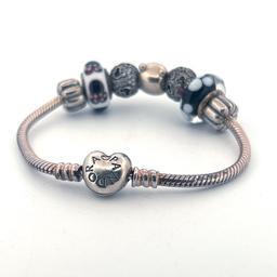 Disney Pandora Charm Bracelet