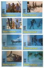 Sharks Treasure Movie Poster Collection