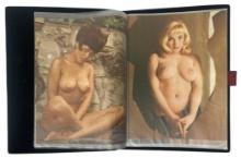 Erotic Adult Magazine Pages Collection