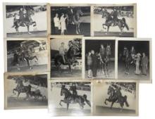 Vintage Horse Rally Photo Collection