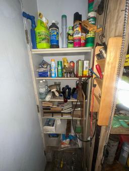 Shelving Behind Door of Chemicals and Misc