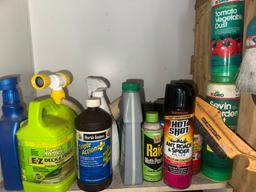 Shelving Behind Door of Chemicals and Misc