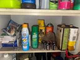 Shelving Behind Door of Chemicals and Misc