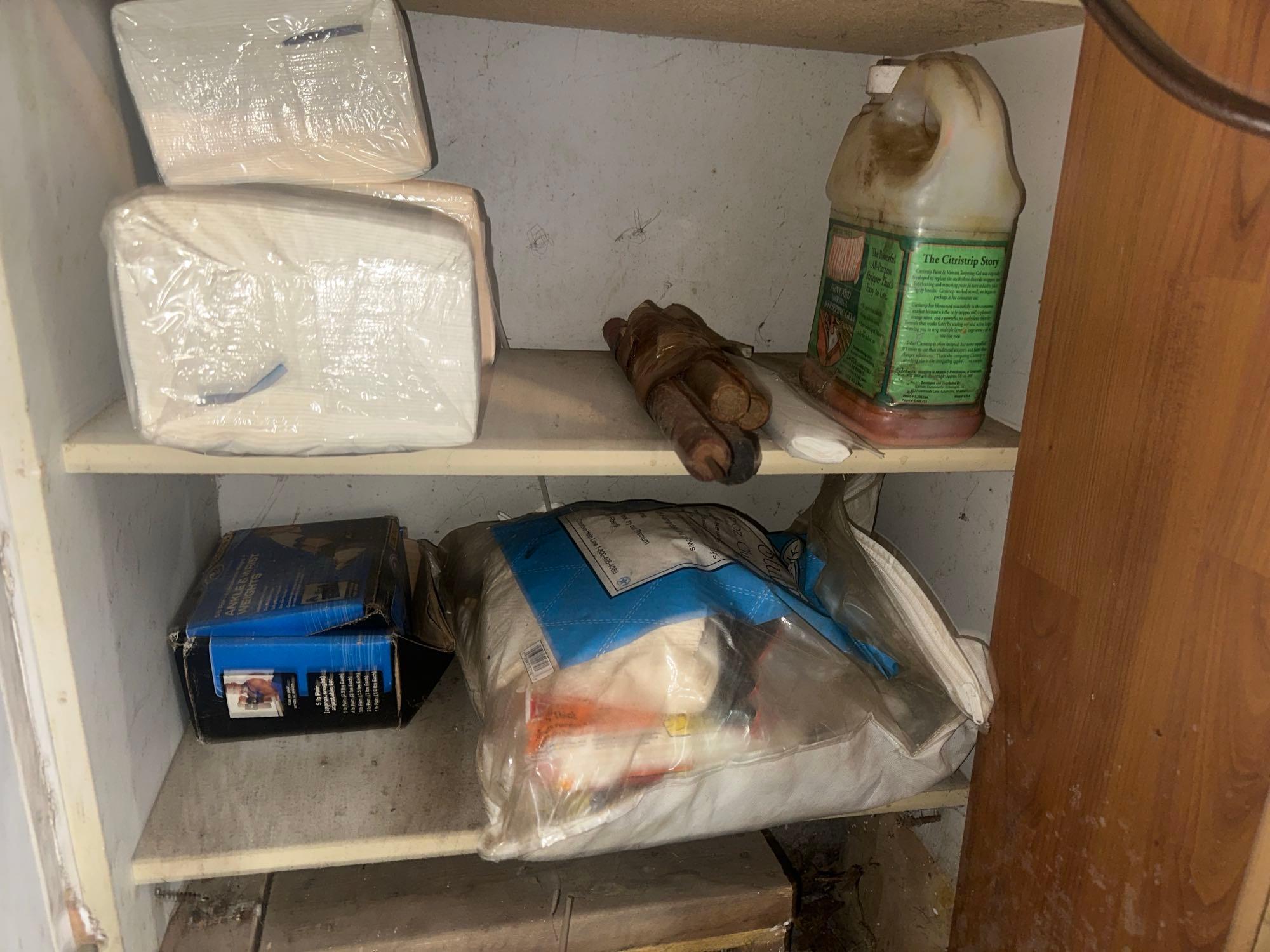 Shelving Behind Door of Chemicals and Misc