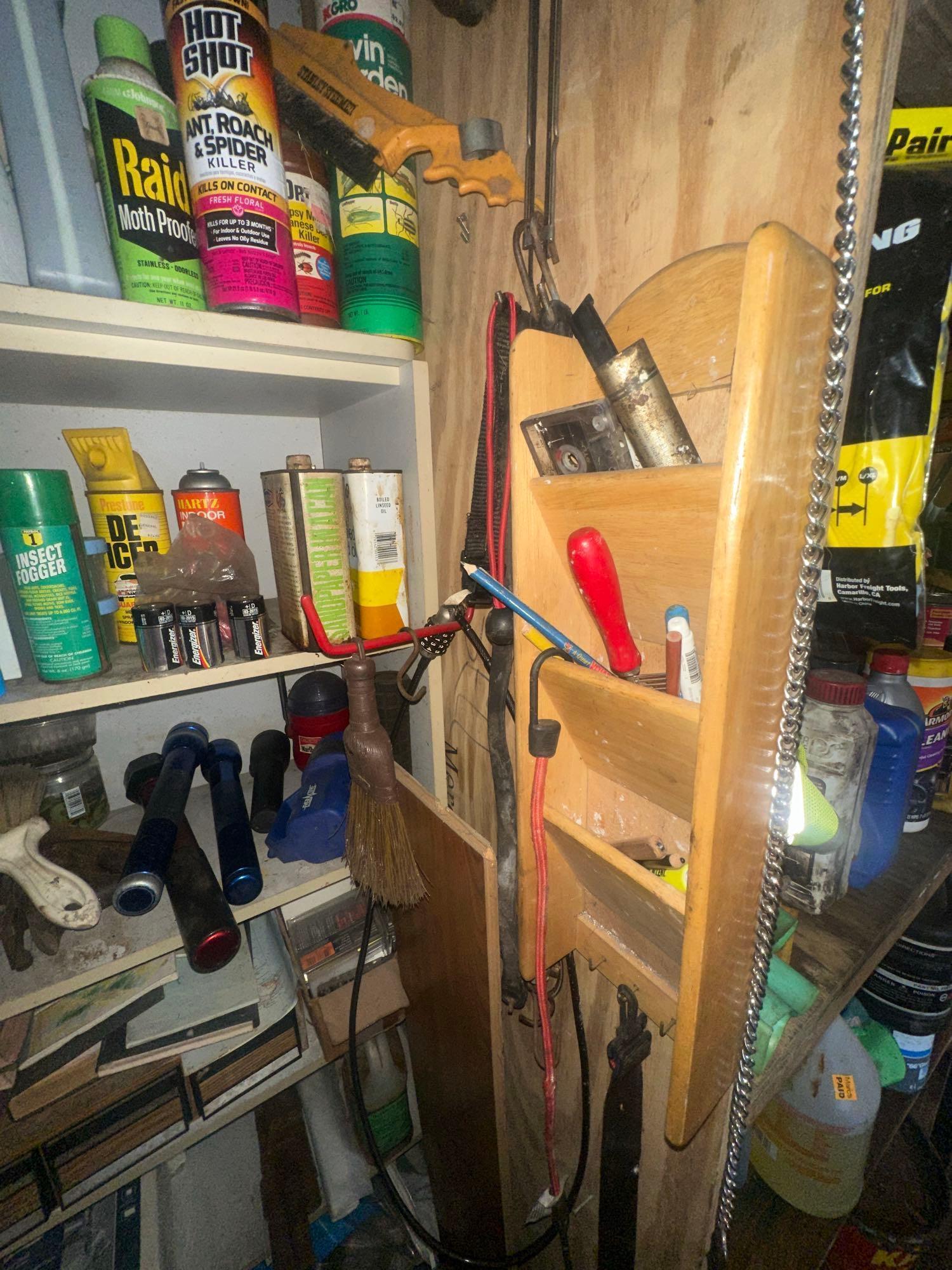 Shelving Behind Door of Chemicals and Misc