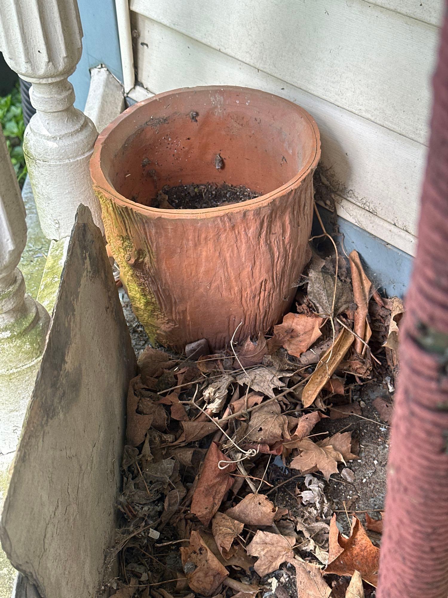 Front and Back Porch Contents