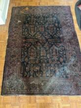 54" x 76" Iran Persian Rug