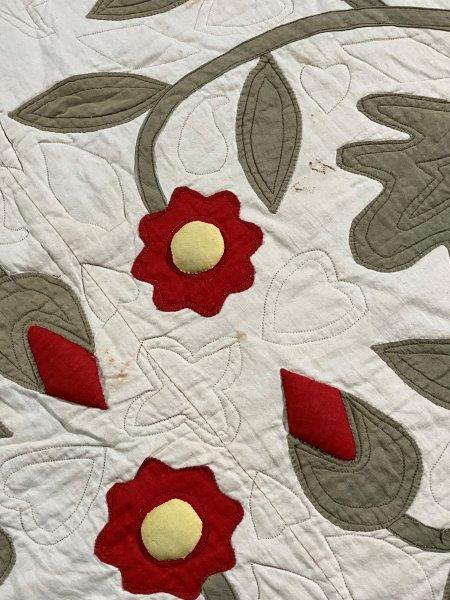 Applique Quilt, Floral Pattern