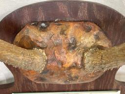 Large Mounted Antler Rack with Mirror
