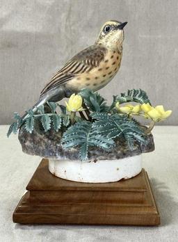 Dorothy Doughty for Royal Worcester, Meadow Pipit