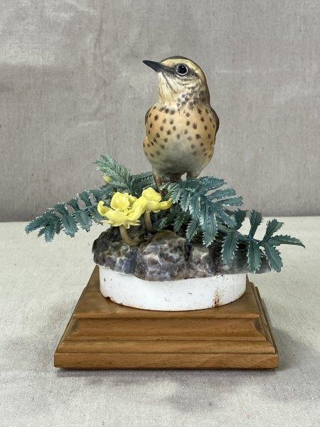 Dorothy Doughty for Royal Worcester, Meadow Pipit
