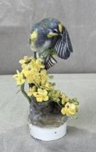 Dorothy Doughty for Royal Worcester, Audubon Warbler