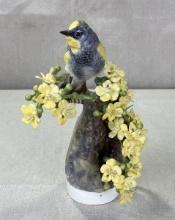 Royal Worcester by Dorothy Doughty, Audubon's Warbler