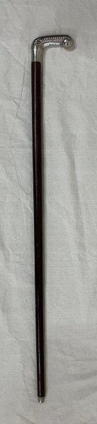 Lizard Skin Cane