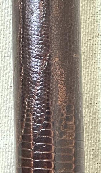 Lizard Skin Cane