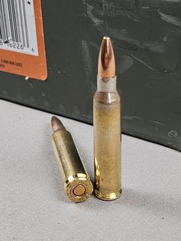 .223 Ammo in Metal Ammo Can