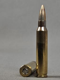 .223 Ammo in Metal Ammo Can