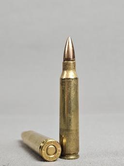 .223 Ammo in Metal Ammo Can