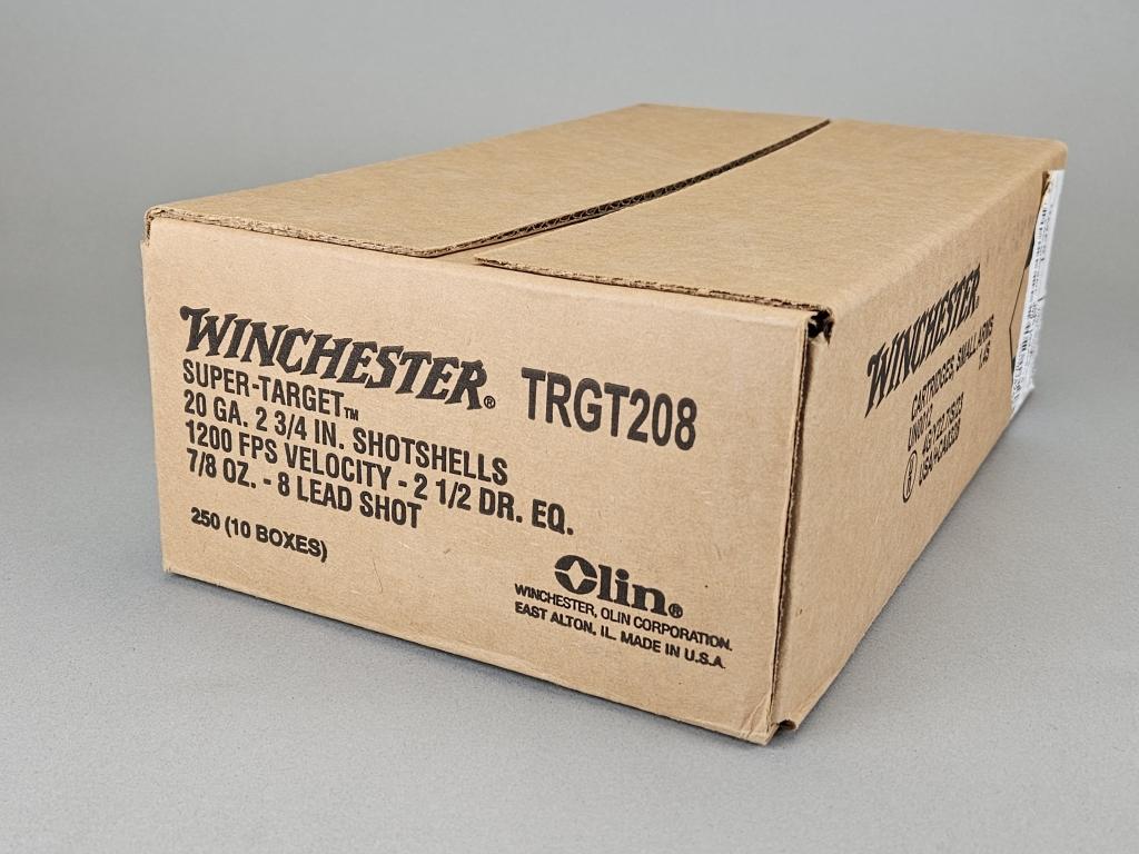 250rd Winchester Super Target 20GA Ammo