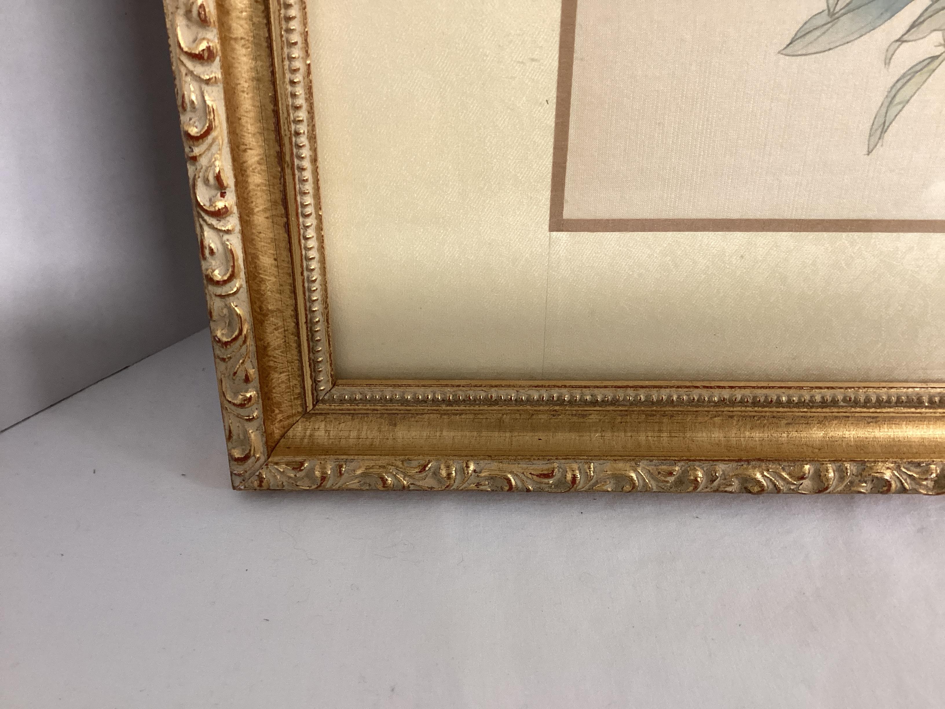 Framed Japanese Silk Screen Bird and Flowers Signed and Stamped