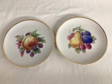 Two Imperial Germany Fruit Plates