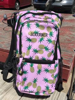 Sojourner Hydration Bag