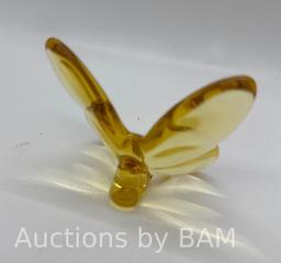 Glass Butterfly