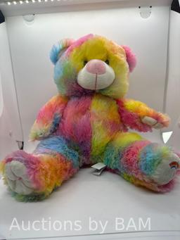 Record Your Own Plush 16 inch Rainbow Bear - Ready 2 Love in a Few Easy Steps