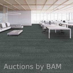 SHAW HAZE DREAMY FINISH CARPET TILE 18in X 36in (1CASE/45SQFT) $146