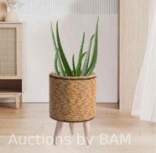 Plant Basket with Stand Rattan Basket Modern Display Floor Flowerpot Pastoral Flower Pot Basket
