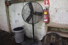 Pedestal Fan