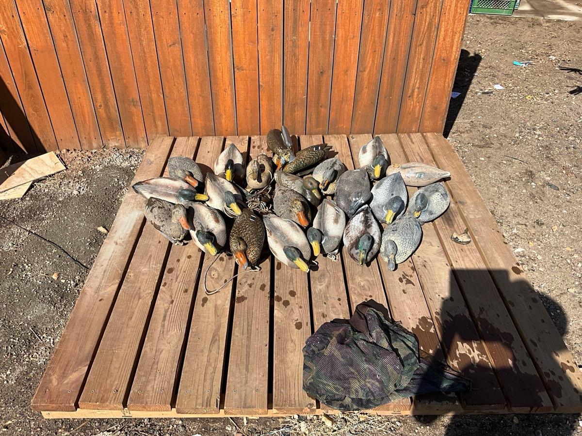 Duck Decoys