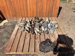 Duck Decoys