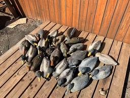 Duck Decoys