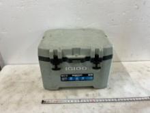 Igloo Cooler