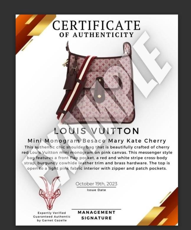 Louis Vuitton Pochette Acc & Neut Mono Shldr Bag