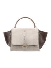Celine Python Trapeze Small Clasp Cls Top Hdl Bag