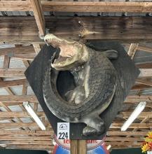 Hanging Gator Display