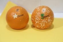 A Pair of Orange Form Salt and Pepper Shaker