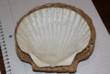 Real Shell Dish