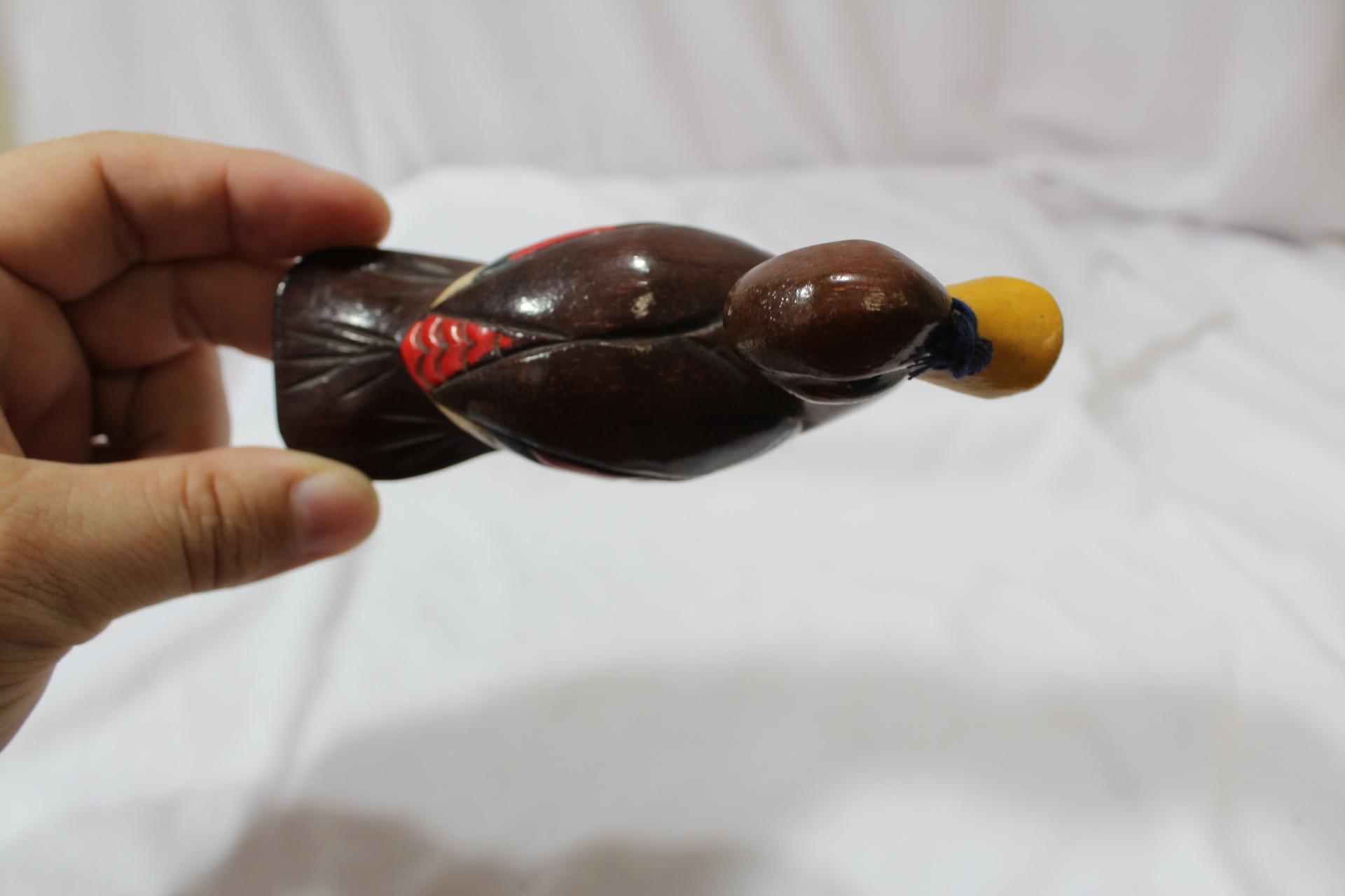 An Oriental Wooden Duck