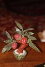 Jade Tree