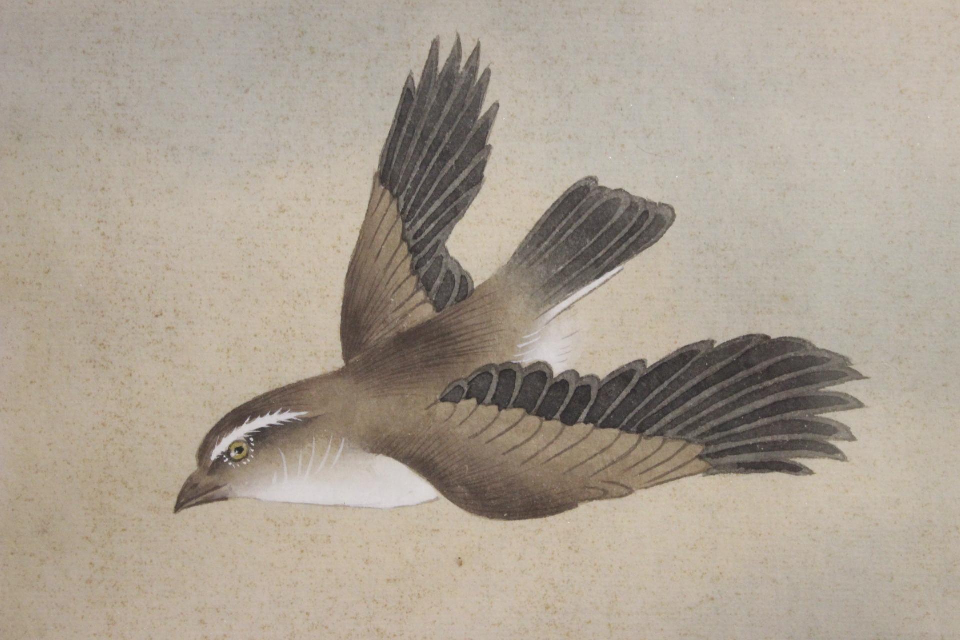 Exception Cat and Bird Japanese Painting