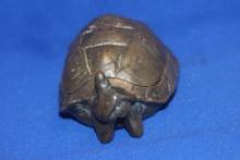 Heavy Metal Erotic Turtle