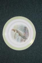 Buffalo Pottery Fish Plate